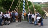 Maibaum 2007